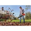 imageBLACK  DECKER Electric Leaf Blower Hand Held Blowers for Lawn Care Up to 450 CFM and 140 MPH Power Axial Lightweight Corded BEBL750Leaf Blower