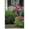 imageBLACKDECKER 18Inch Electric Hedge Trimmer BEHT200