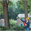 imageBLACKDECKER 20V MAX Cordless Pole Saw Kit with Battery and Charger Included 14Inch Battery Pole Saw Includes Oil Bottle Wrench and Blade Guard LPP12020V Pole Saw Kit