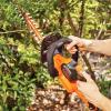 imageBLACKDECKER 40V MAX Cordless Hedge Trimmer 24Inch Brush Trimmer with Battery and Charger LHT341FF40V Hedge Trimmer Kit
