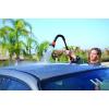 imageBLACKDECKER BD2142 Lightweight Snake Watering Wand with 9Pattern Spray Head