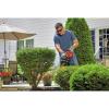 imageBLACKDECKER Hedge Trimmer DualAction Blade 16Inch BEHTS125Hedge Trimmer