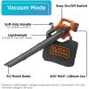 imageBLACKDECKER Leaf Blower Cordless Leaf Vacuum and Mulcher Combo Kit Battery and Charger Included 40V 120 mph Air Speed 6Speed Dial Builtin Scraper with Collection Bag LSWV36