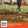 imageBLACKDECKER Leaf Blower Leaf Vacuum and Mulcher 3 in 1 Backpack Blowers for Lawn Care250 mph Airflow 400 cfm Delivery Power Reusable Bag Included Corded BEBL7000