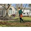 imageBLACKDECKER Leaf Blower Leaf Vacuum and Mulcher 3 in 1 Backpack Blowers for Lawn Care250 mph Airflow 400 cfm Delivery Power Reusable Bag Included Corded BEBL7000