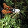 imageBLACKDECKER Lopper Chain Saw 45Amp Pruner Loppers for Tree Trimming Heavy Duty LP1000Lopper Chain Saw