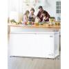 imageBLACKDECKER 13 Cu Ft Chest Freezer Deep Freezer with Top Opening Freezer Chest with 2 Removable Storage Baskets Mechanical Temperature Control Manual Defrost R600a RefrigerantBCF1300EWhite198 CuFt