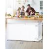 imageBLACKDECKER 13 Cu Ft Chest Freezer Deep Freezer with Top Opening Freezer Chest with 2 Removable Storage Baskets Mechanical Temperature Control Manual Defrost R600a RefrigerantBCF1300EWhite162 CuFt