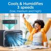 imageBLACKDECKER 9Inch Frameless Box Fan Freestanding Desk Fan with 3Speed Settings Portable Fan for Home Office or Garage BFB09W WhiteBlack