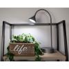 imagePureOptics LED Minimalist Floor Lamp 58quot Height with Weighted Base Adjustable Gooseneck Flicker Free EcoFriendly Foot Switch GrayDesk Lamp