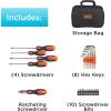imagebeyond by BLACKDECKER Screwdriver Set with Storage Bag Magnetic Tip 23Piece BDHT6223CAPB